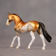 Trophy Case OOAK Chip Warmblood by Dawn Quick EQ26