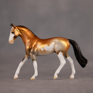 Trophy Case OOAK Chip Warmblood by Dawn Quick EQ26