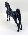 Saddlebred