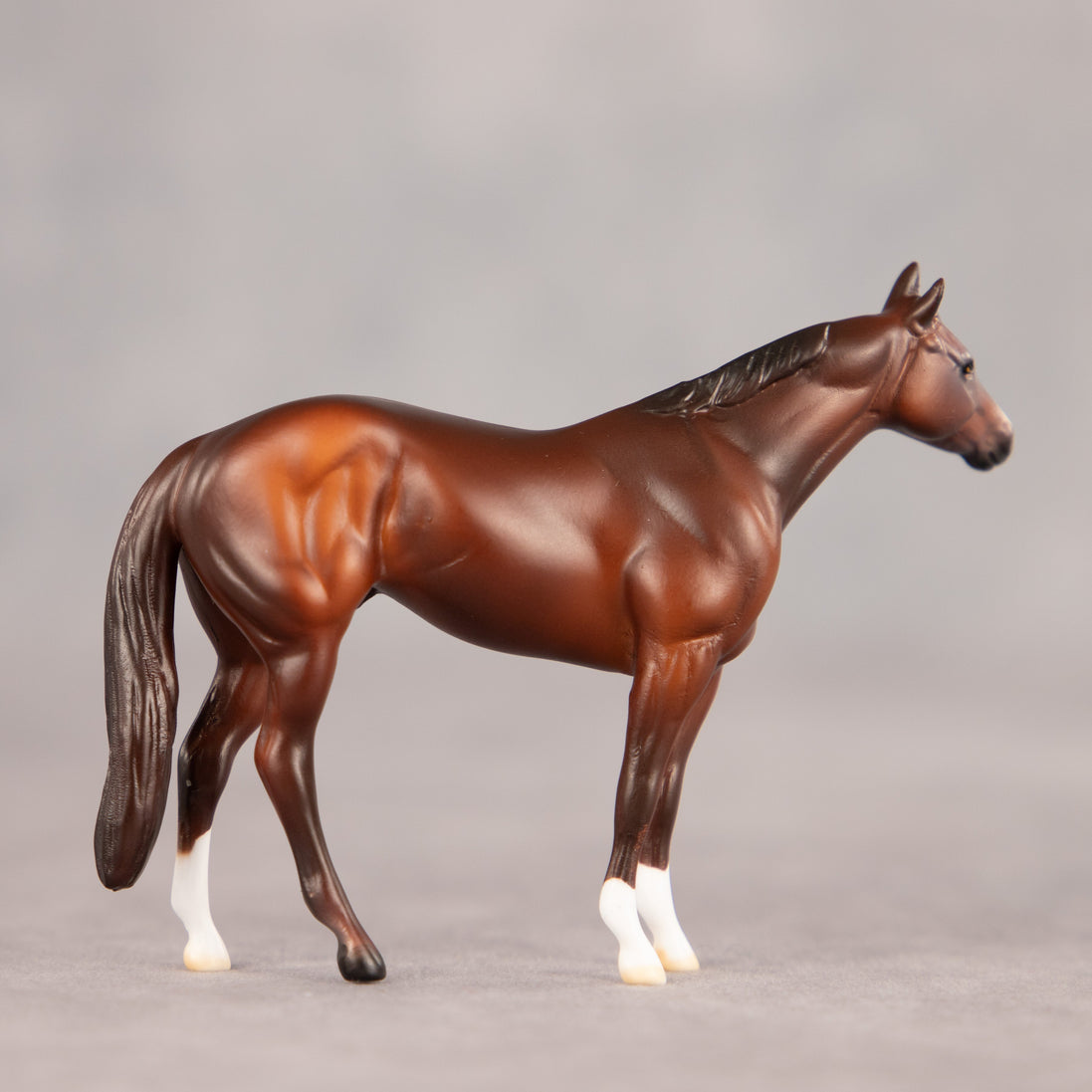 Tucson OOAK Chip Stock Horse by Dawn Quick EQ26