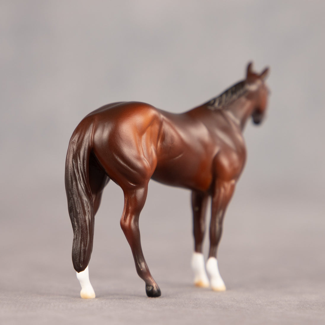 Tucson OOAK Chip Stock Horse by Dawn Quick EQ26