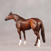 Tucson OOAK Chip Stock Horse by Dawn Quick EQ26