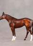Tucson OOAK Chip Stock Horse by Dawn Quick EQ26
