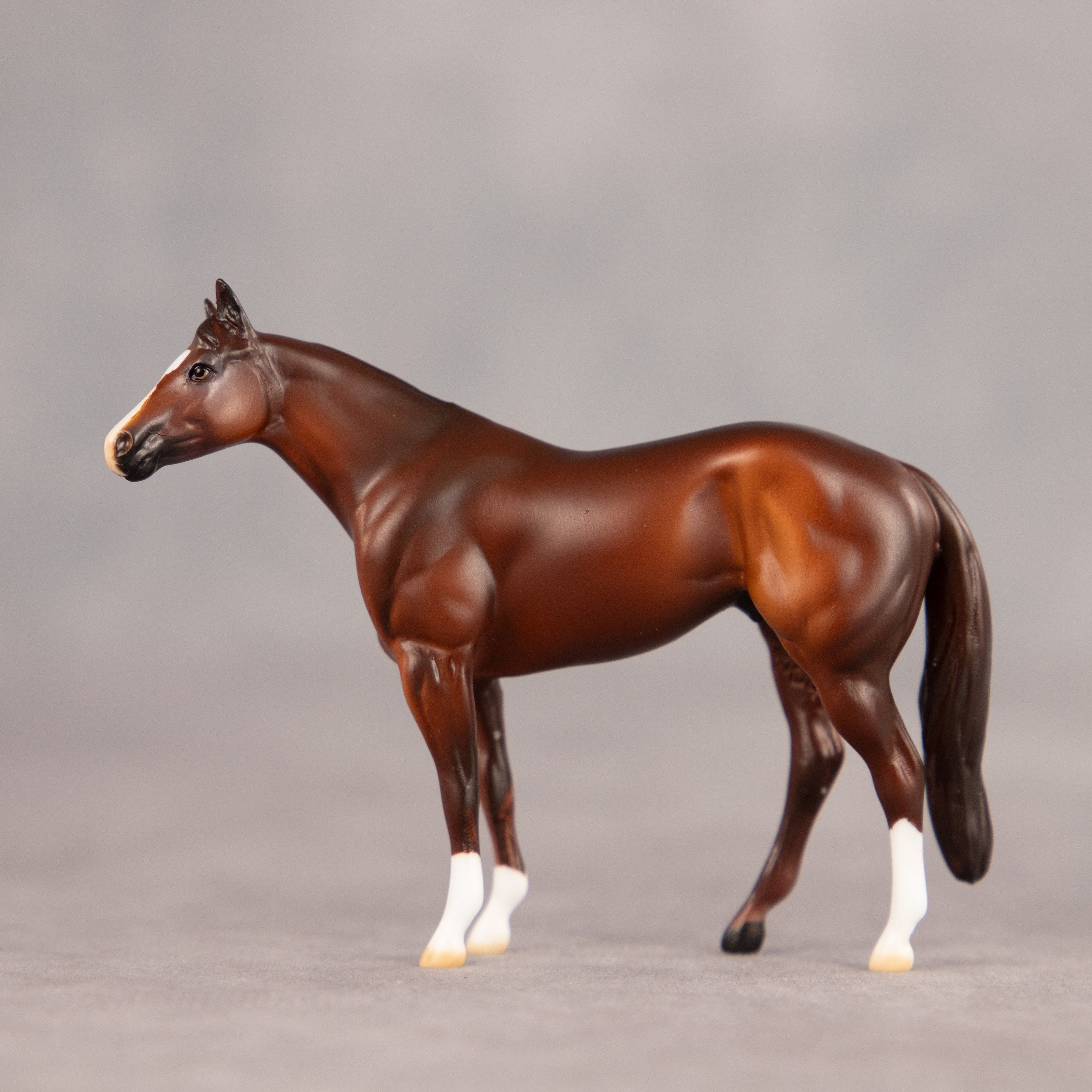 Tucson OOAK Chip Stock Horse by Dawn Quick EQ26