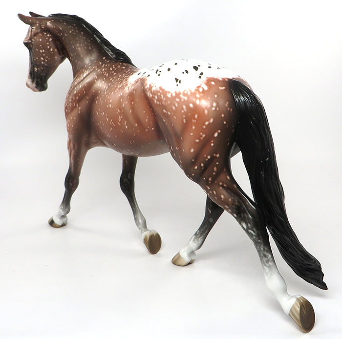 appaloosa 