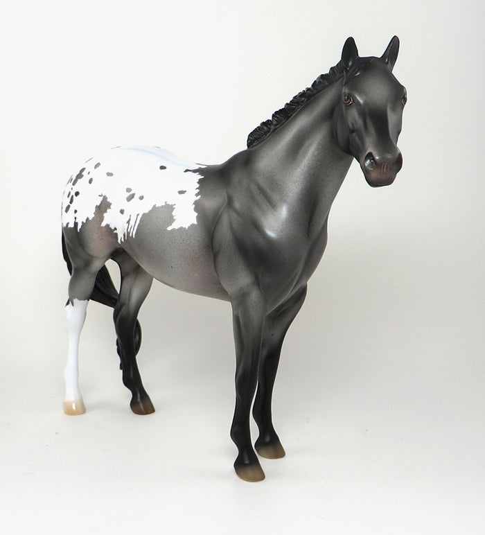 BLUE ROAN APPALOOSA