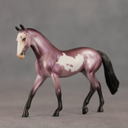 Ube OOAK Chip Warmblood by Dawn Quick SHCF26