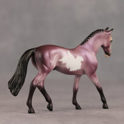 Ube OOAK Chip Warmblood by Dawn Quick SHCF26