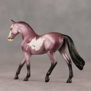 Ube OOAK Chip Warmblood by Dawn Quick SHCF26