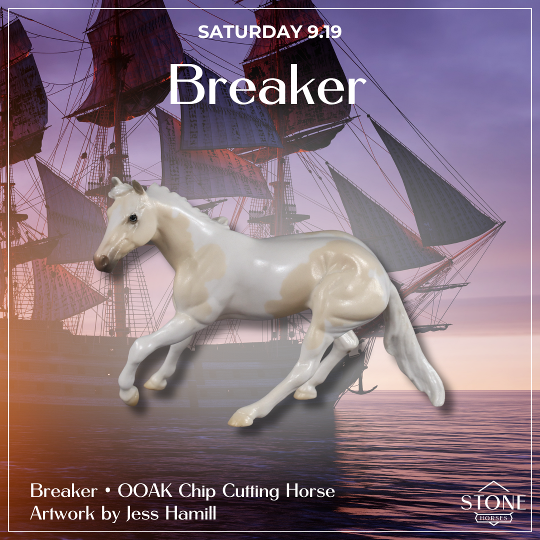 Talk Like A Pirate Day OOAK Chips by Jess Hamill SCD26