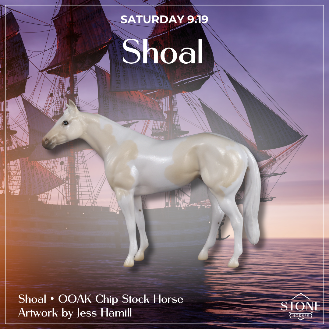 Talk Like A Pirate Day OOAK Chips by Jess Hamill SCD26