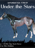 Arcturus OOAK Chip Stock Horse by Ellen Robbins SCD26