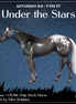 Canopus OOAK Chip Stock Horse by Ellen Robbins SCD26