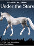 Deneb OOAK Chip Warmblood by Ellen Robbins SCD26