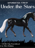 Dubhe OOAK Chip Warmblood by Ellen Robbins SCD26