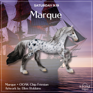 Talk Like A Pirate Day OOAK Chips by Ellen Robbins SCD26