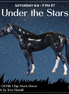 Rigel OOAK Chip Stock Horse by Jess Hamill SCD26