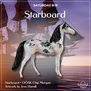 Talk Like A Pirate Day OOAK Chips by Jess Hamill SCD26