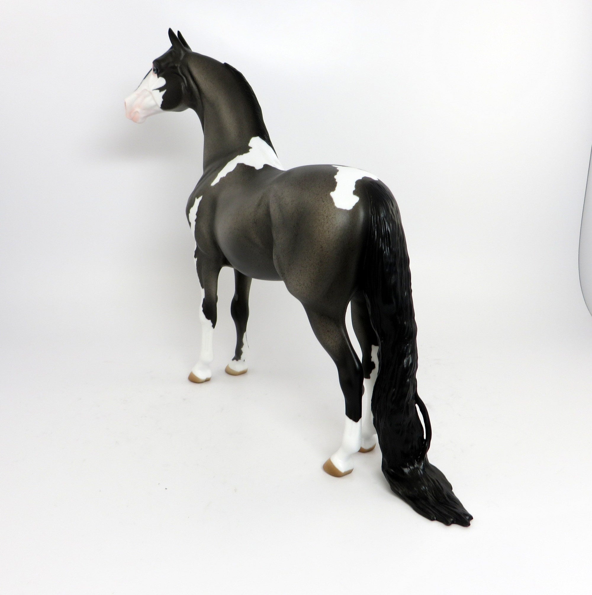 VISIONARY-OOAK BLUE ROAN PAINT MORGAN MODEL HORSE 2/20
