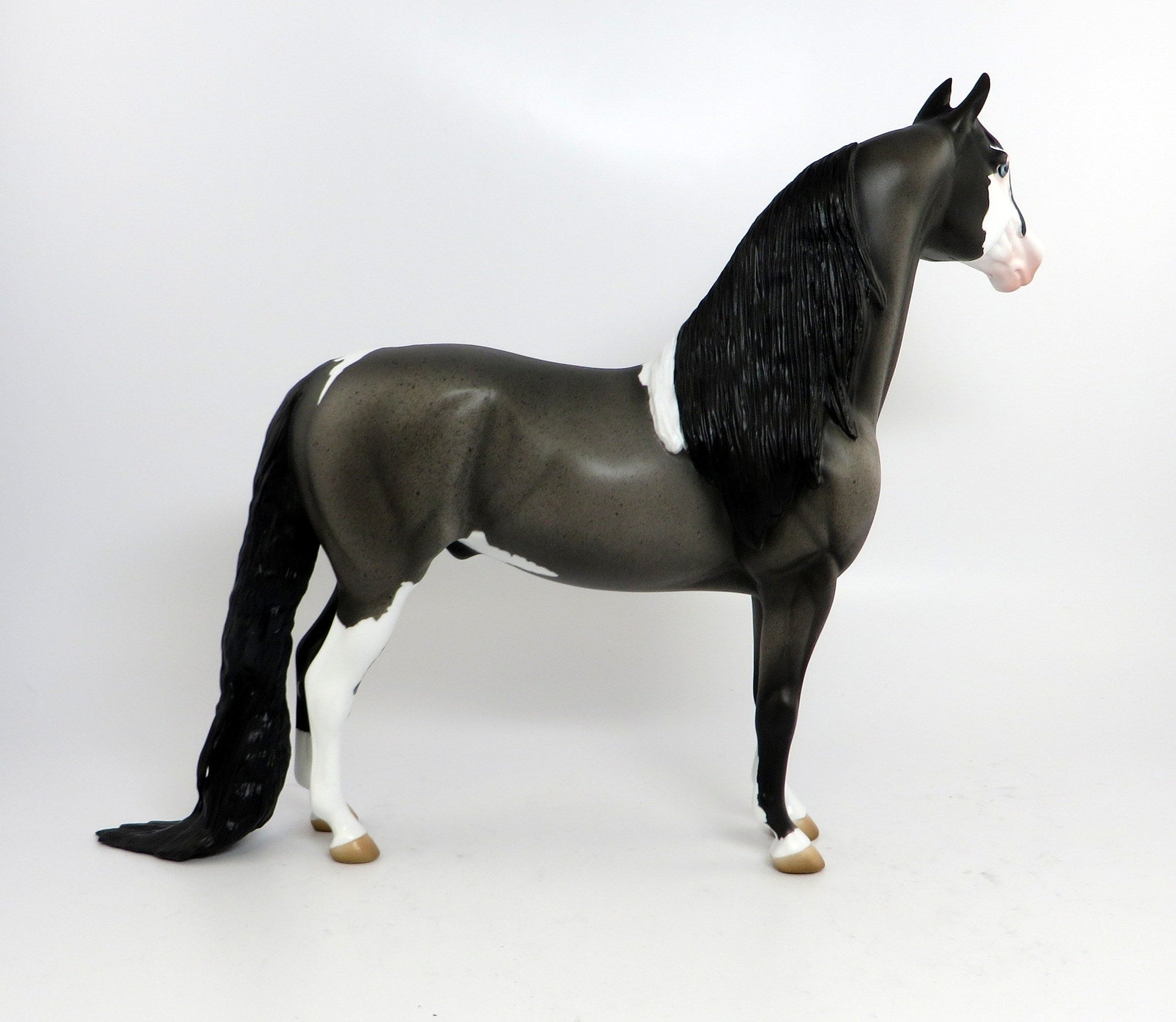 VISIONARY-OOAK BLUE ROAN PAINT MORGAN MODEL HORSE 2/20