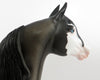 VISIONARY-OOAK BLUE ROAN PAINT MORGAN MODEL HORSE 2/20