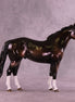 Valhakar OOAK FCM Ideal Stock Horse by Enrique Duarte HS25