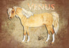 Venus - Conquering Tide Model Horse