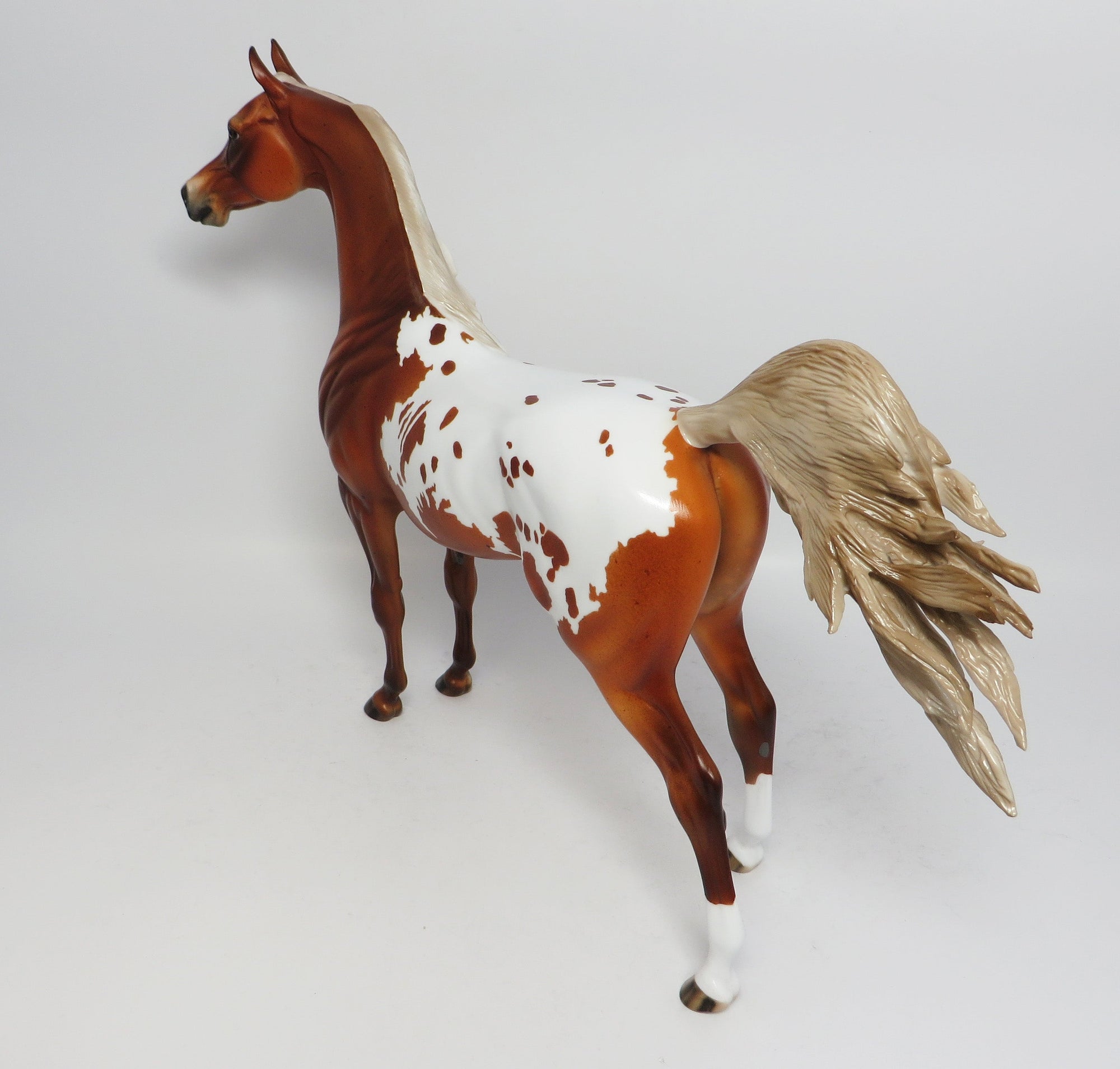 VINCA-OOAK CUSTOM CHESTNUT APPALOOSA ARABIAN MODEL HORSE WHS 2017