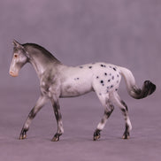 Wassail OOAK FCM Chip Warmblood by Ellen Robbins HS25