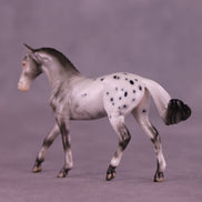 Wassail OOAK FCM Chip Warmblood by Ellen Robbins HS25