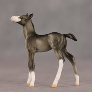 Waypoint OOAK Chip Foal by Ellen Robbins SHCF26