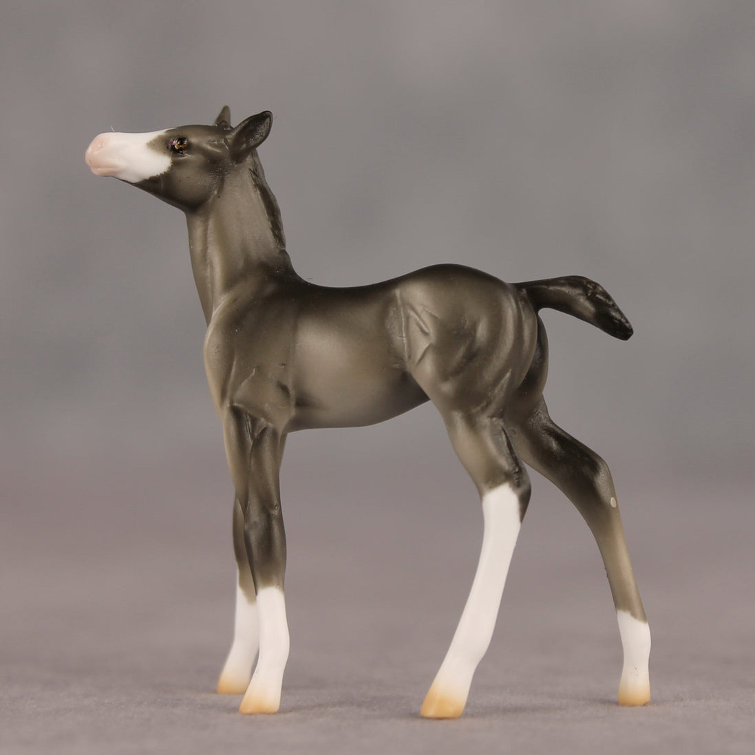 Waypoint OOAK Chip Foal by Ellen Robbins SHCF26