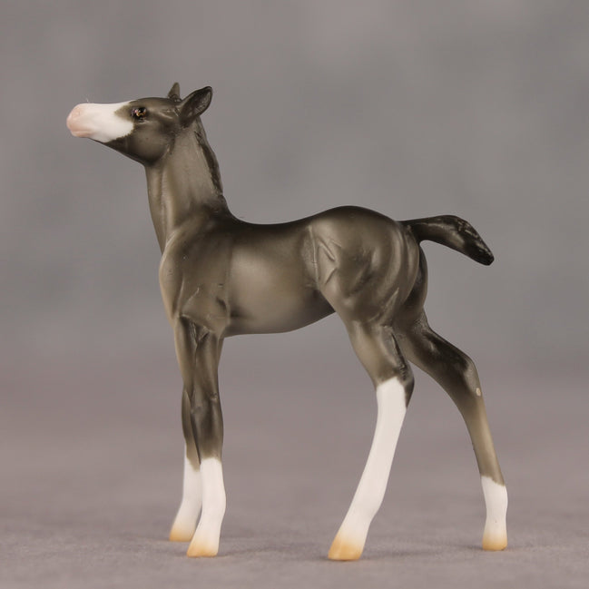 Waypoint OOAK Chip Foal by Ellen Robbins SHCF26