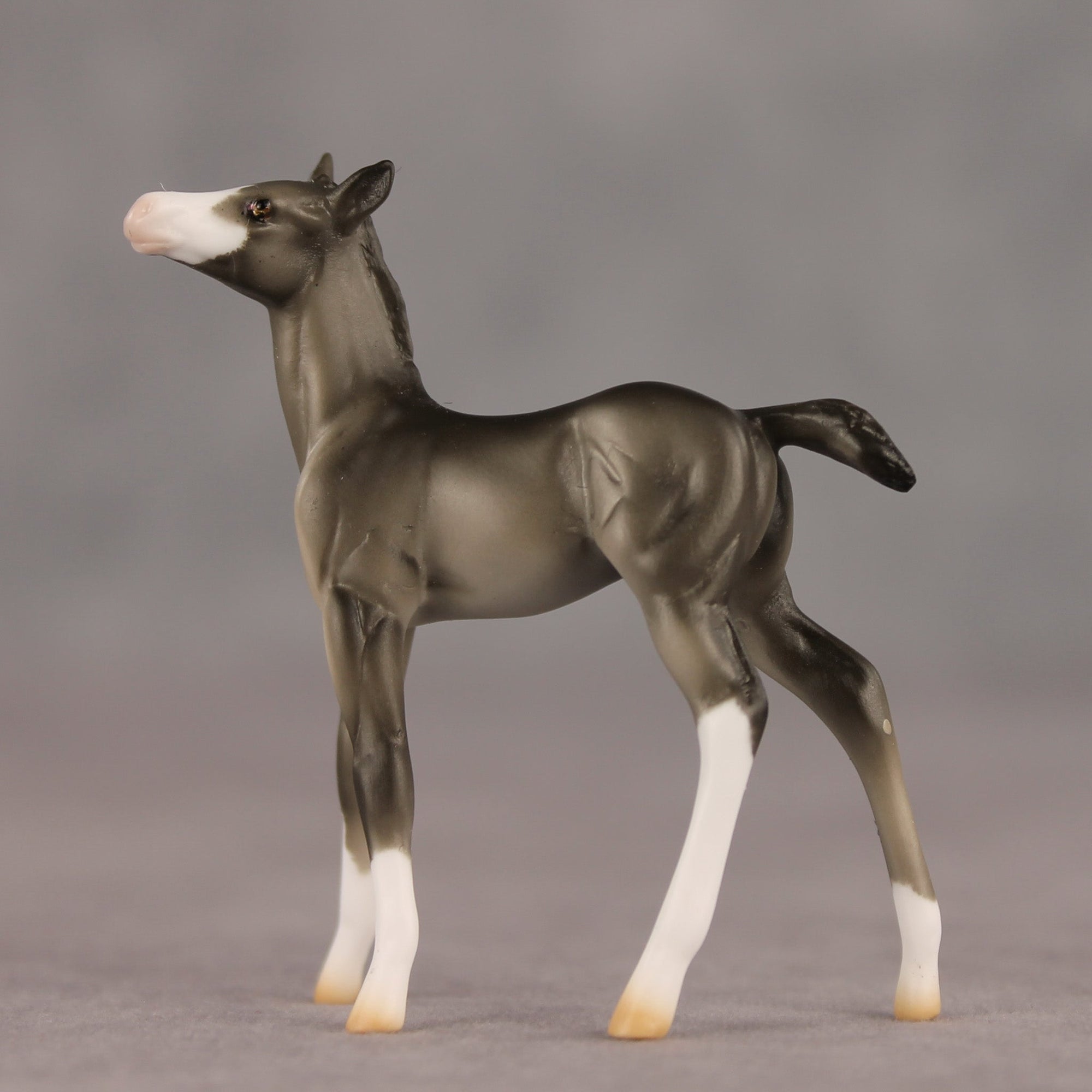 Waypoint OOAK Chip Foal by Ellen Robbins SHCF26