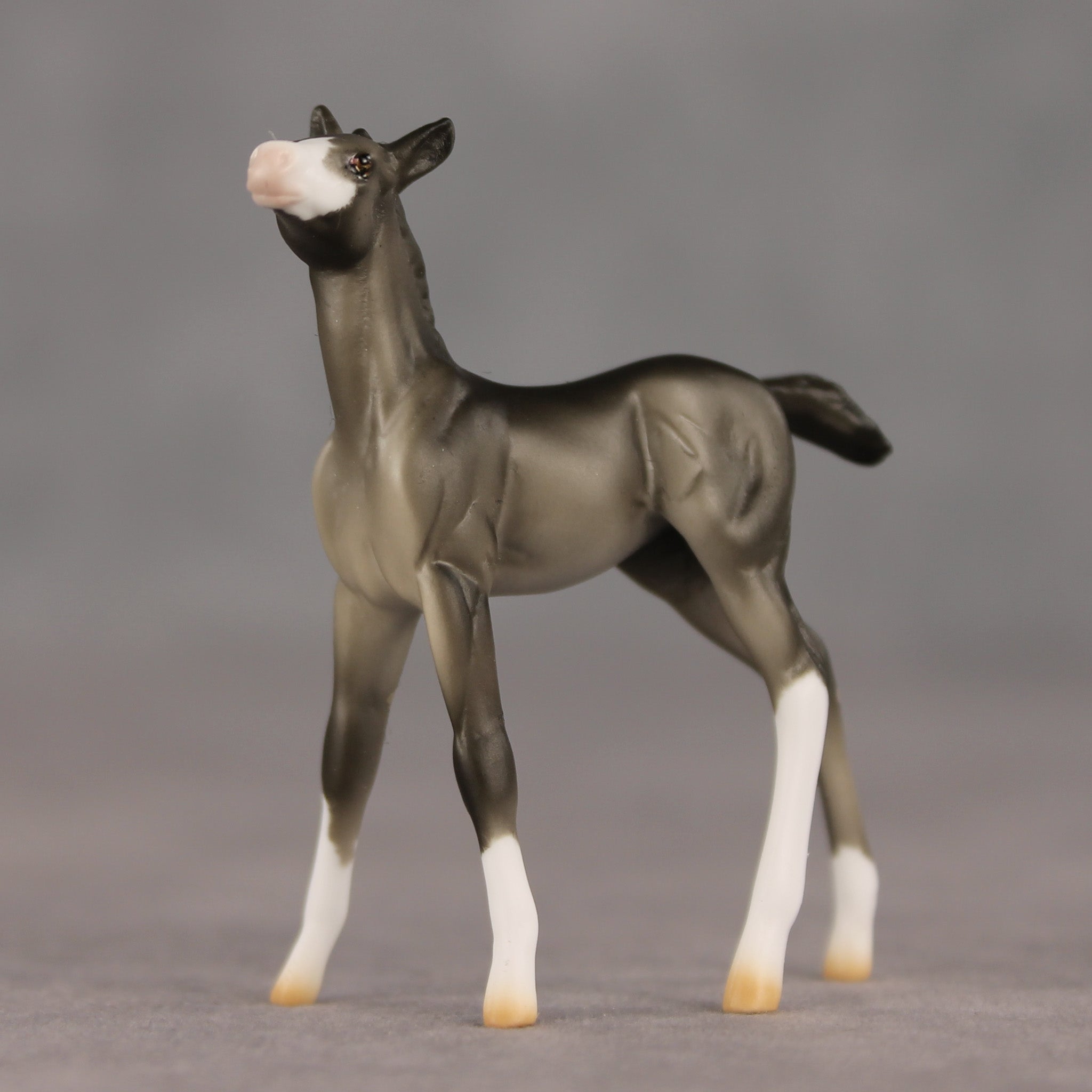 Waypoint OOAK Chip Foal by Ellen Robbins SHCF26