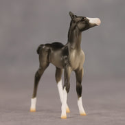 Waypoint OOAK Chip Foal by Ellen Robbins SHCF26