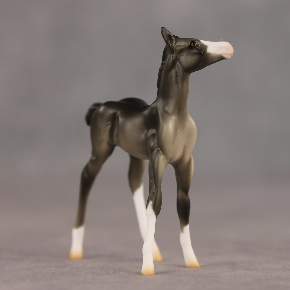 Waypoint OOAK Chip Foal by Ellen Robbins SHCF26