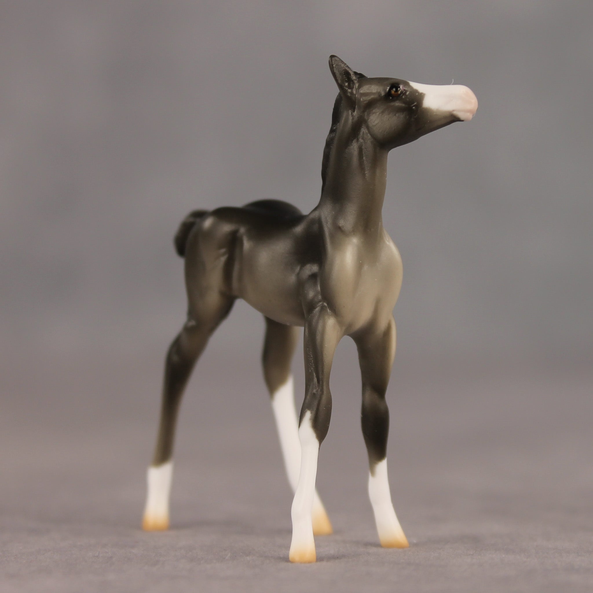 Waypoint OOAK Chip Foal by Ellen Robbins SHCF26