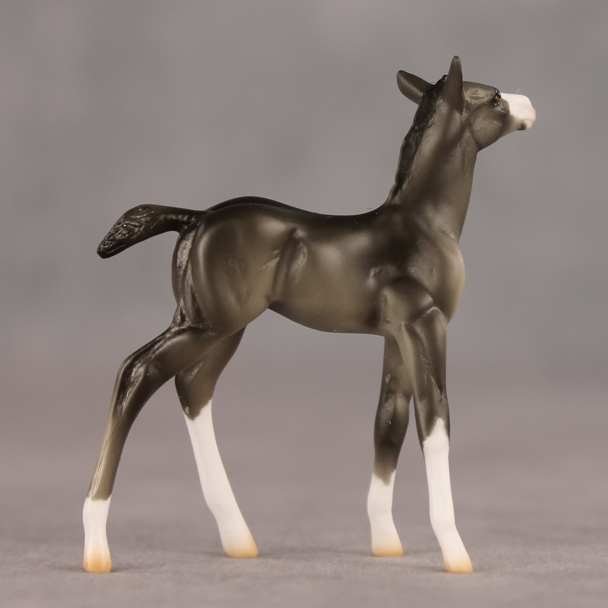 Waypoint OOAK Chip Foal by Ellen Robbins SHCF26