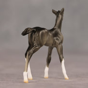 Waypoint OOAK Chip Foal by Ellen Robbins SHCF26
