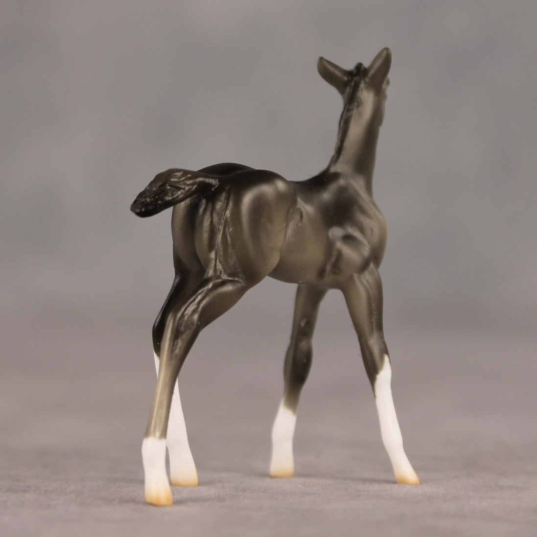 Waypoint OOAK Chip Foal by Ellen Robbins SHCF26