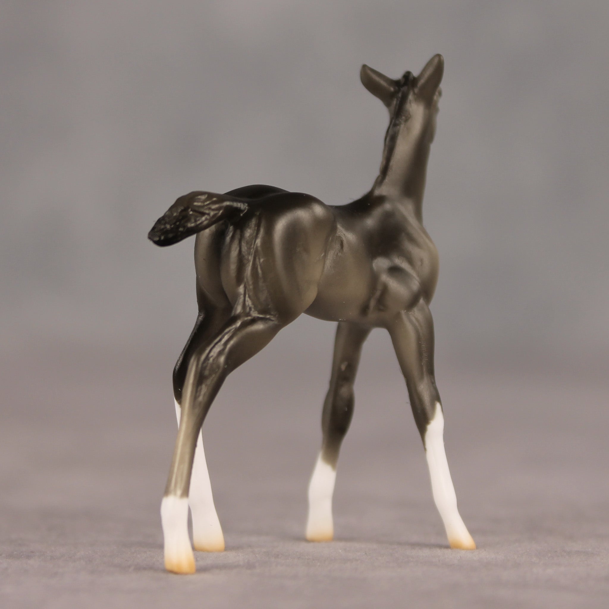 Waypoint OOAK Chip Foal by Ellen Robbins SHCF26