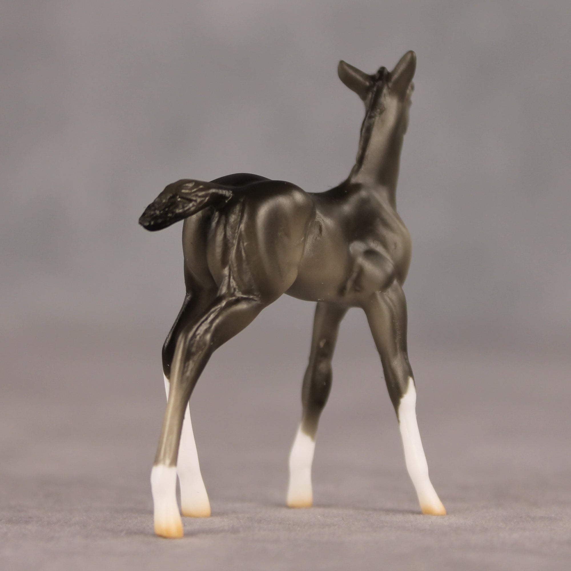 Waypoint OOAK Chip Foal by Ellen Robbins SHCF26