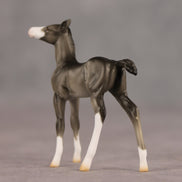 Waypoint OOAK Chip Foal by Ellen Robbins SHCF26