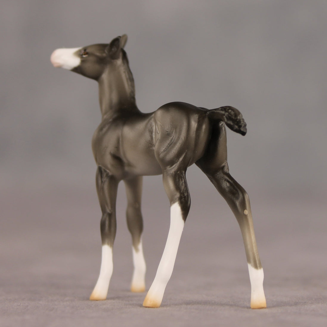 Waypoint OOAK Chip Foal by Ellen Robbins SHCF26