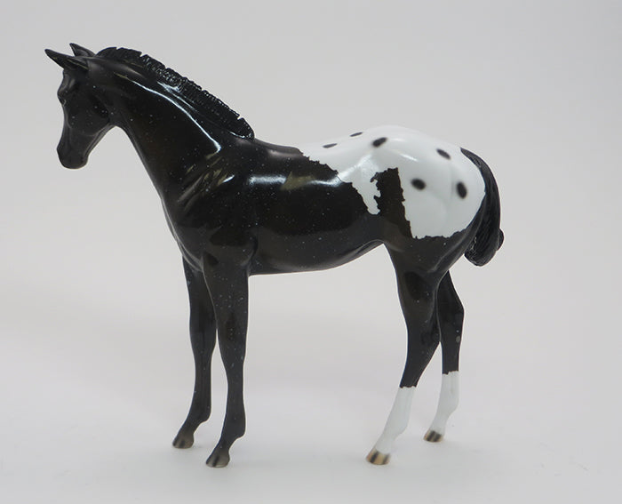 TOUCHDOWN - SNOWFLAKE APPALOOSA WEANLING 9/18