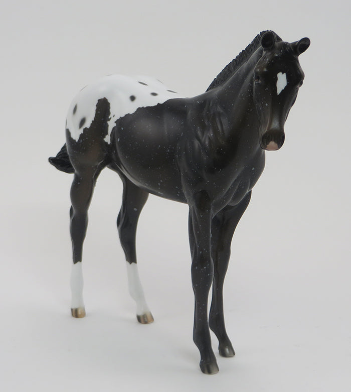 TOUCHDOWN - SNOWFLAKE APPALOOSA WEANLING 9/18