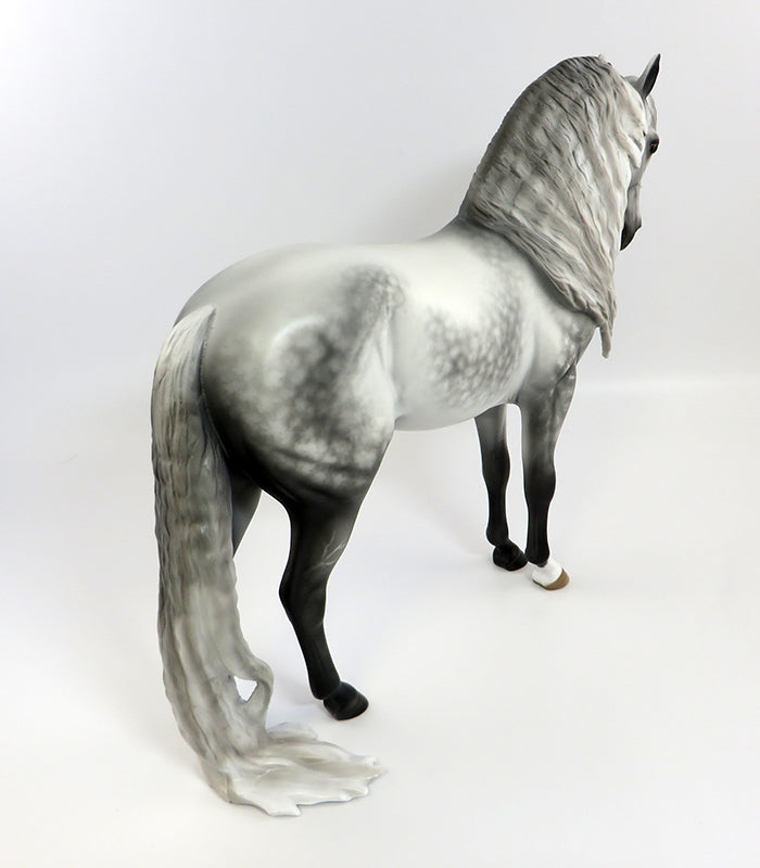 WELKER-OOAK STAR DAPPLE GREY ANDALUSIAN BY SHERYL LEISURE 2/5/17