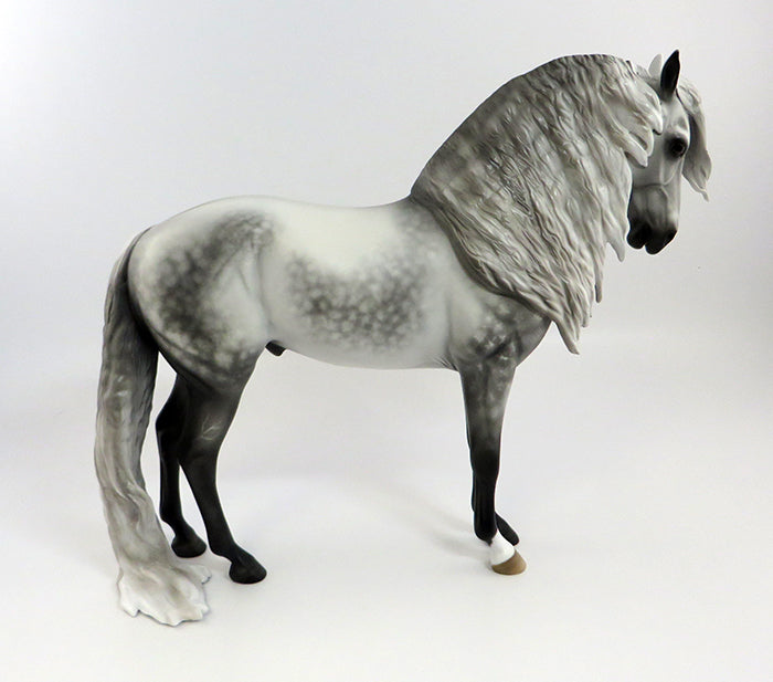WELKER-OOAK STAR DAPPLE GREY ANDALUSIAN BY SHERYL LEISURE 2/5/17