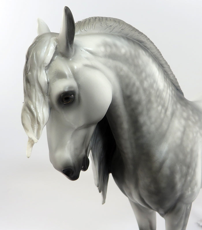 WELKER-OOAK STAR DAPPLE GREY ANDALUSIAN BY SHERYL LEISURE 2/5/17